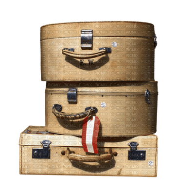 Kaz_Creations Luggage - ilmainen png