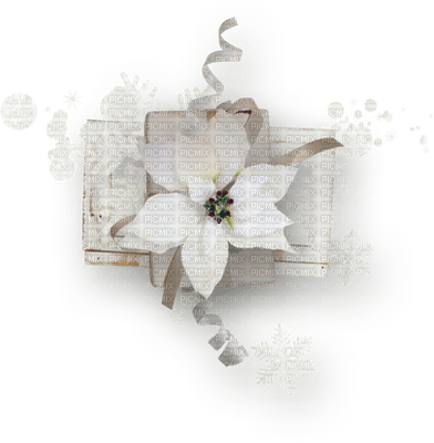 fleur blanche.Cheyenne63 - nemokama png