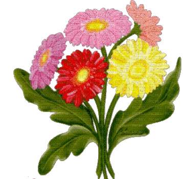 flowers katrin - Nemokamas animacinis gif