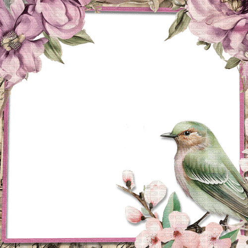 ♥❀❀❀❀ sm3 spring frame bird pink image - nemokama png