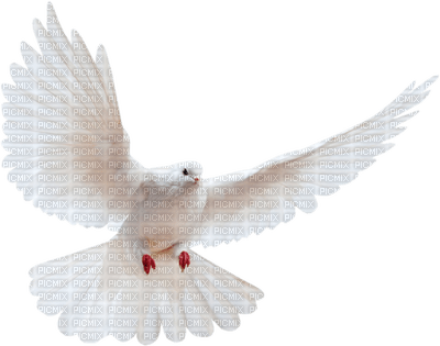 Tournesol94 oiseau - 免费PNG