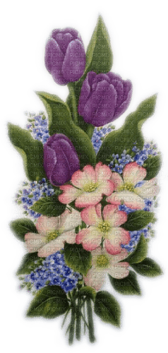 Blumenstrauß, Tulpen, Frühling - bezmaksas png
