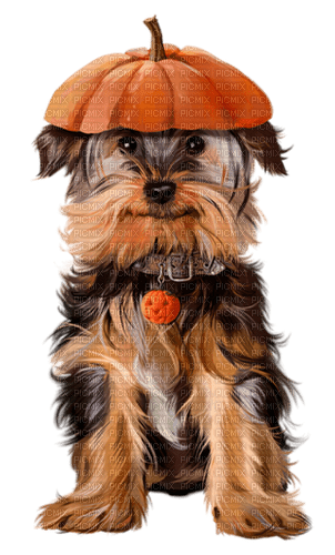 halloween dog by nataliplus - PNG gratuit