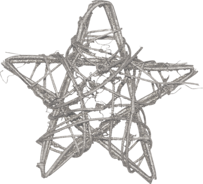 Kaz_Creations Winter Christmas Deco - PNG gratuit