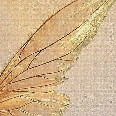Gold Background Wings - png gratis