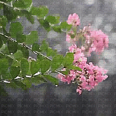 chuva - Besplatni animirani GIF