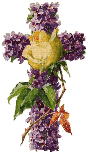 Veilchenkreuz, Gelbe Rose, Blumen, Vintage - GIF animé gratuit