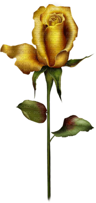 rose jaune.Cheyenne63 - png grátis
