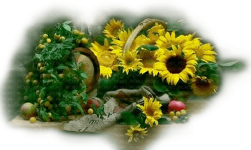 Herbst, Sonnenblumen - Free PNG