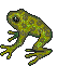 frog - Kostenlose animierte GIFs