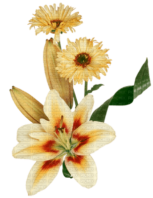 Gif flores Mahg - png gratis