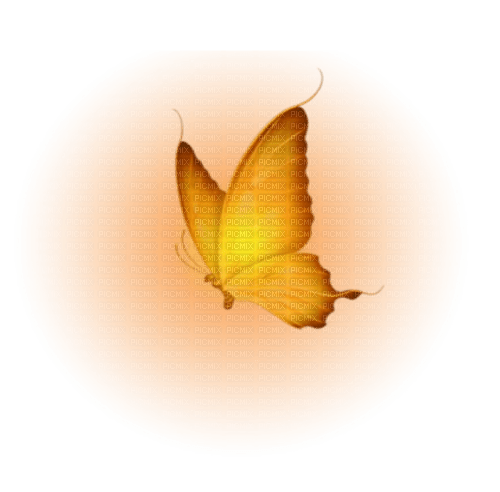 butterfly - zdarma png