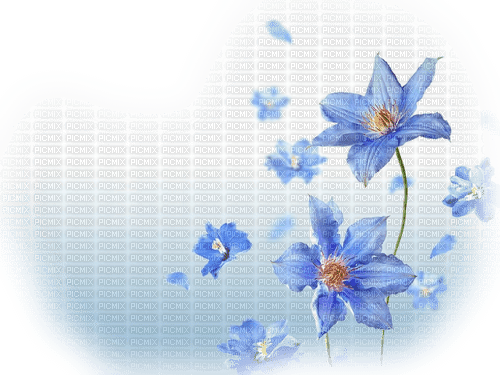 Blue Clematis - 無料png