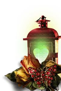 minou-lantern-flower-decoration - PNG gratuit