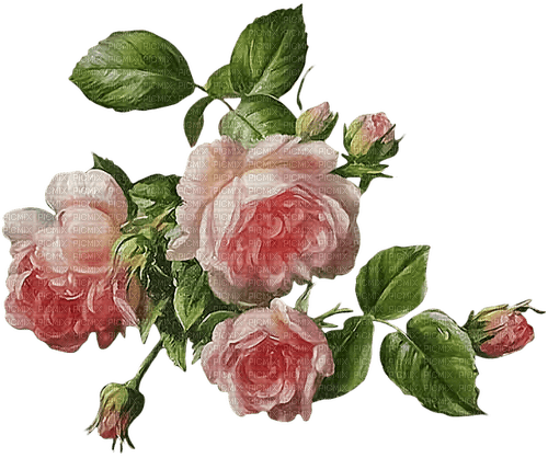 Vintage roses.Pink.Painting.Victoriabea - PNG gratuit
