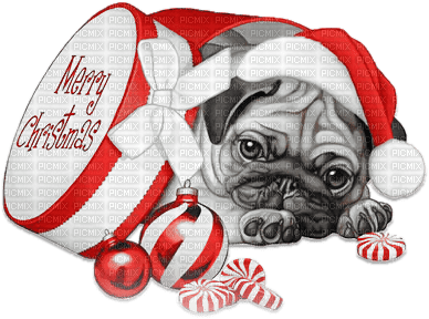 soave animals dog christmas winter black white - 免费PNG