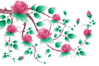soave deco branch animated flowers rose spring - Gratis animerad GIF