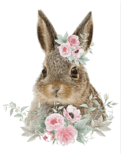 Hase, Osterhase, Frühling, Blumen - kostenlos png