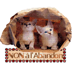 abandon - Δωρεάν κινούμενο GIF