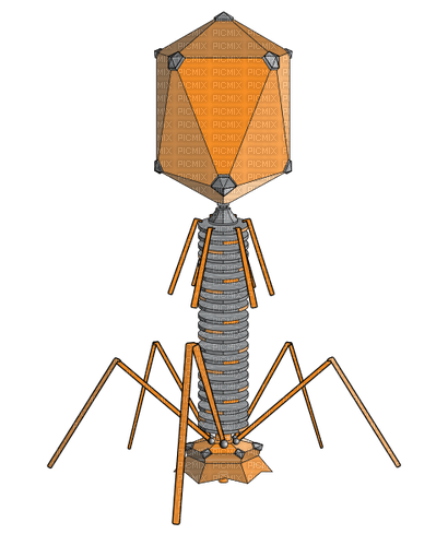 bacteriophage - zadarmo png