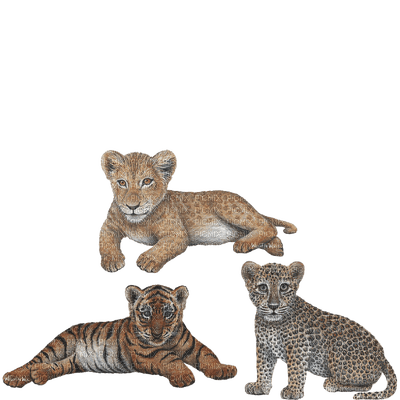 Kaz_Creations Cubs - 免费PNG