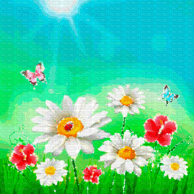 Y.A.M._Summer landscape background flowers - Gratis animeret GIF