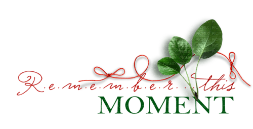 Remember This Moment Text - Bogusia - kostenlos png