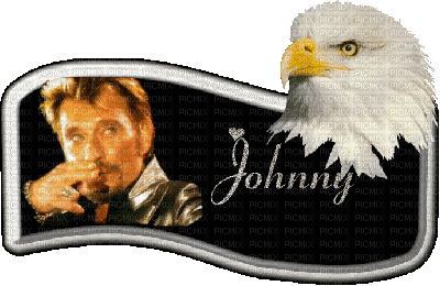 johnny hallyday - GIF animado gratis