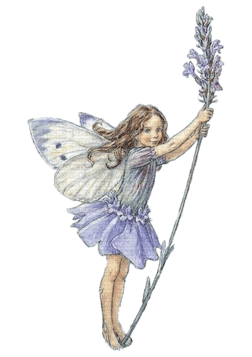 Fairy Lavender - 免费PNG