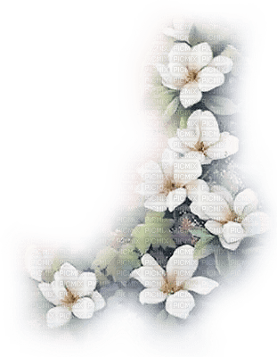 soave deco flowers corner garden green white - δωρεάν png
