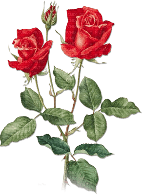soave deco rose branch vintage red green - PNG gratuit