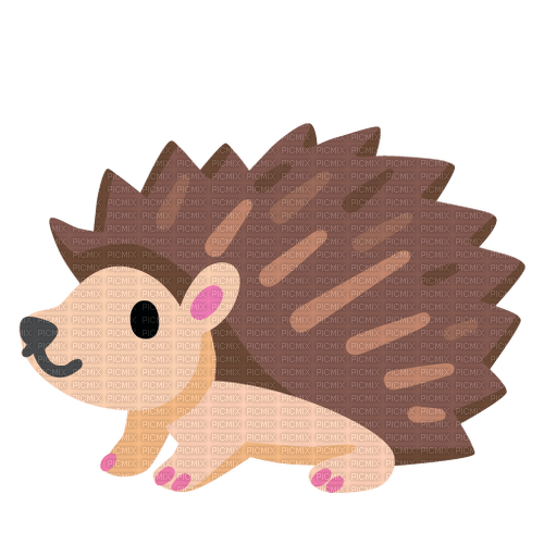 hedgehog - ücretsiz png