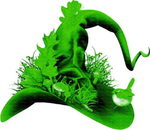 Witch.Hat.Green - PNG gratuit