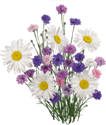 Kathleen Reynolds Grass Flowers - фрее пнг