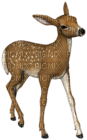 Kaz_Creations Animals Deer - безплатен png
