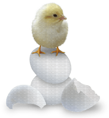Kaz_Creations Easter Deco Chick - png gratuito