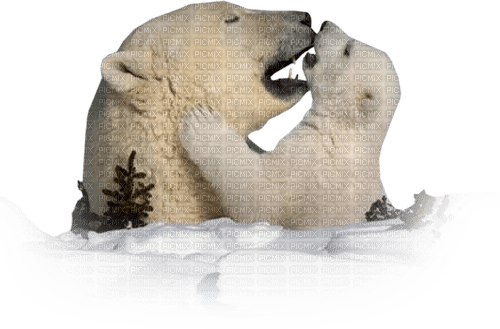 dolceluna white bear bears deco - PNG gratuit