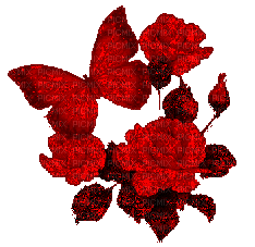 Papillon avec rose rouge.Cheyenne63 - Бесплатный анимированный гифка