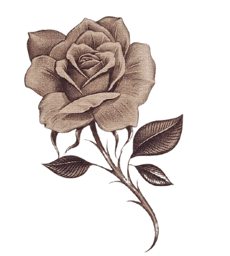 vintage rose - 免费PNG
