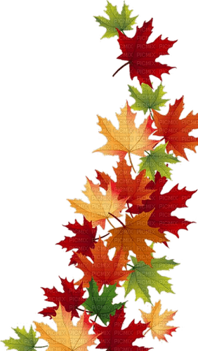 Herbst, Blätter - ücretsiz png
