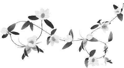 soave deco branch animated spring flowers - Gratis geanimeerde GIF