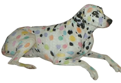 colorful dog - nemokama png