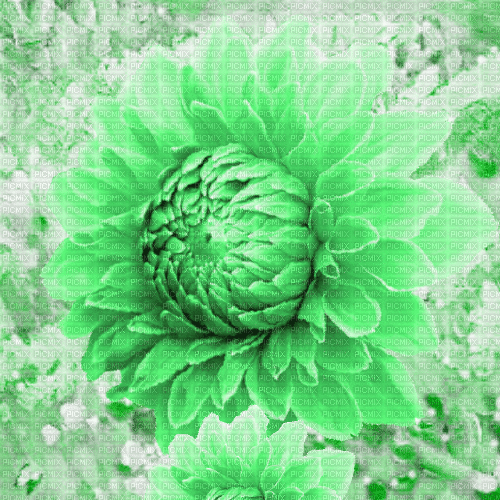 Me  /  animated.background.sunflower.green.idca - Бесплатный анимированный гифка
