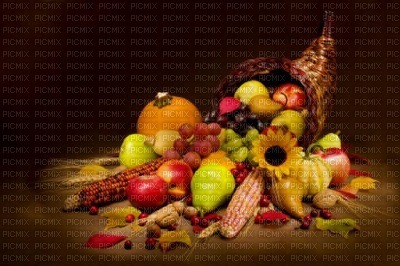 thanks giving - png grátis