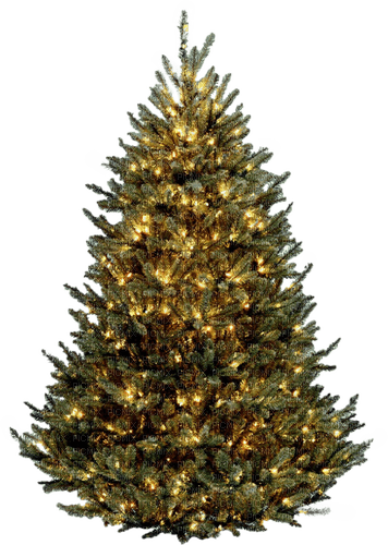 ✶ Christmas Tree {by Merishy} ✶ - png gratuito