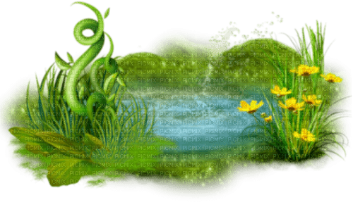 Pond.Water.Grass.Flowers.Blue.Green.Yellow - darmowe png