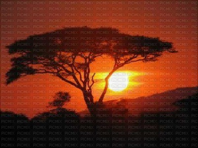 Africa background bp - png gratuito