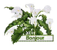 bonjour - Gratis geanimeerde GIF