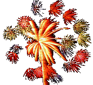 Fuoco d artificio - GIF animasi gratis