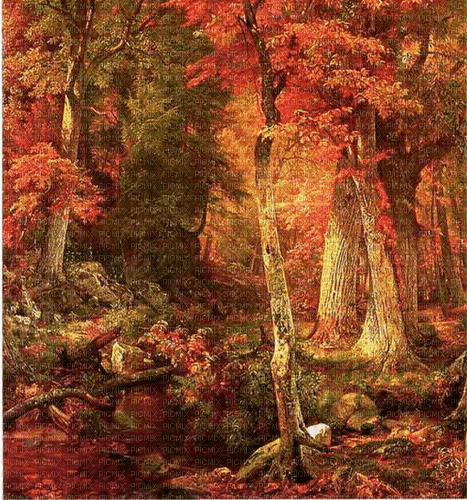 Rena Herbst Autumn Hintergrund Forest Wald - gratis png